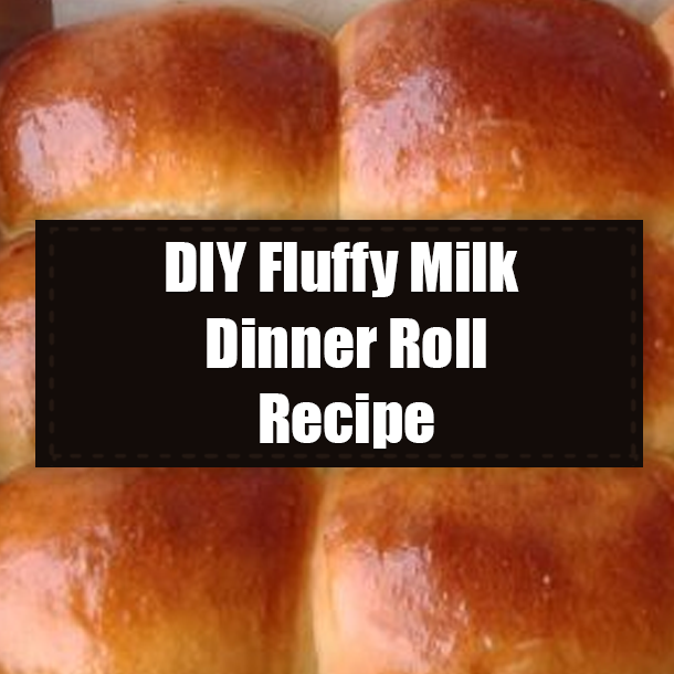DIY Fluffy Milk Dinner Roll Recipe