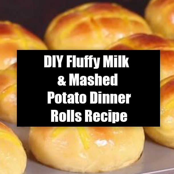 DIY Fluffy Milk & Mashed Potato Dinner Rolls Recipe