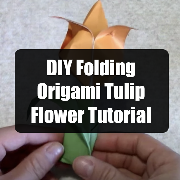 DIY Folding Origami Tulip Flower Tutorial
