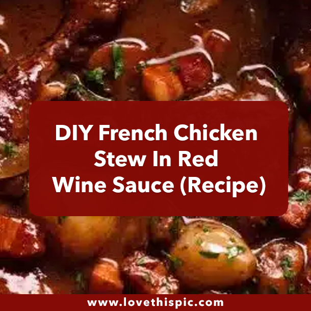 DIY French Chicken Stew In Red Wine Sauce (Recipe)