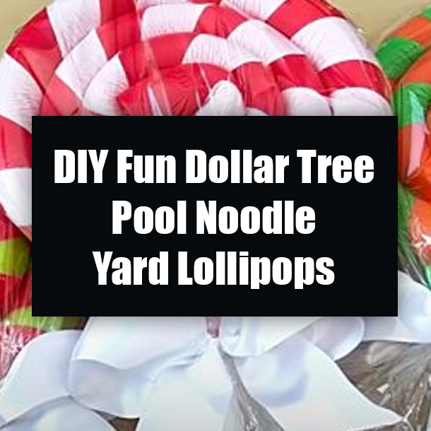DIY Fun Dollar Tree Pool Noodle Yard Lollipops