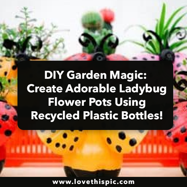 DIY Garden Magic: Create Adorable Ladybug Flower Pots Using Recycled Plastic Bottles!