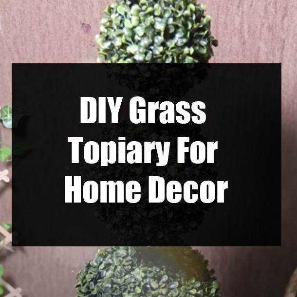 DIY Grass Topiary For Home Decor