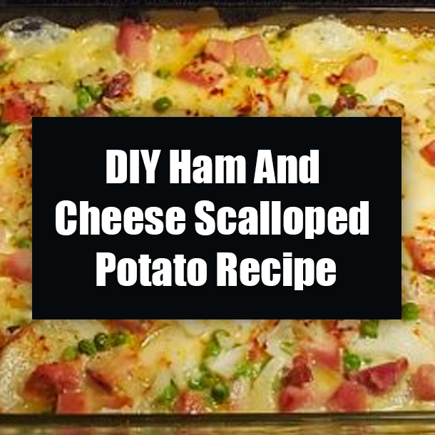 DIY Ham And Cheese Scalloped Potato Recipe