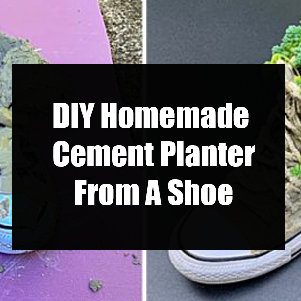 DIY Homemade Cement Planter From A Shoe