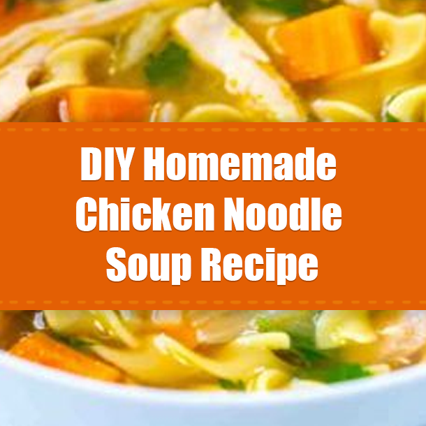 DIY Homemade Chicken Noodle Soup Recipe