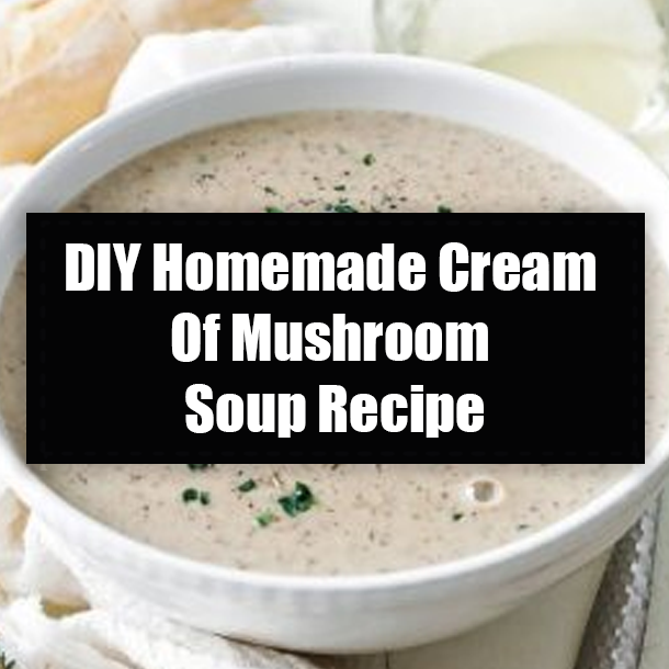 DIY Homemade Cream Of Mushroom Soup Recipe