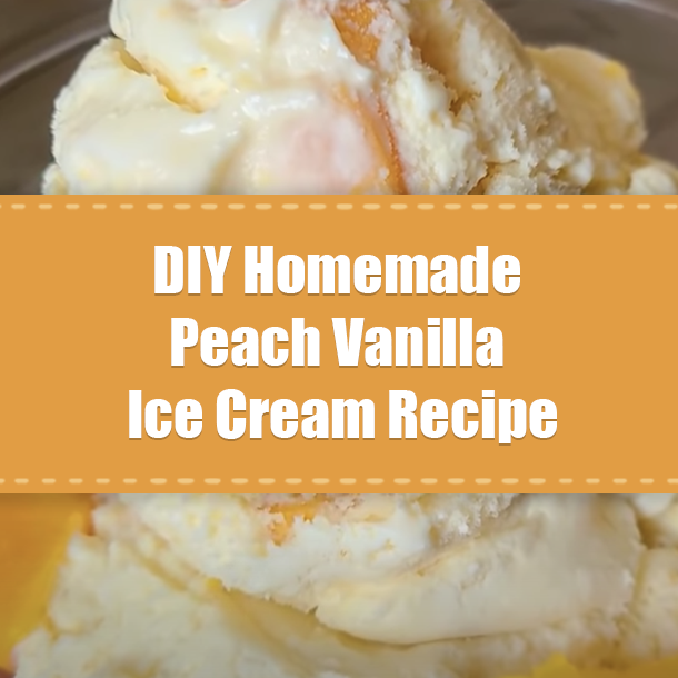DIY Homemade Peach Vanilla Ice Cream Recipe
