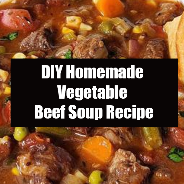 DIY Homemade Vegetable Beef Soup Recipe