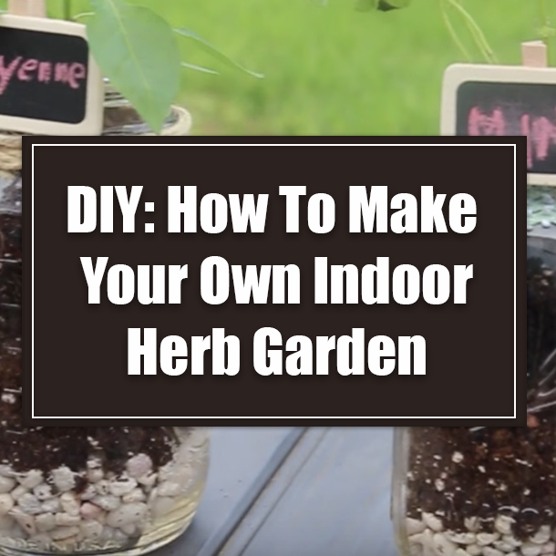 DIY: How To Make Your Own Indoor Herb Garden