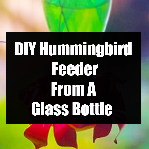 DIY Hummingbird Feeder From A Glass Bottle