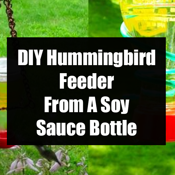 DIY Hummingbird Feeder From A Soy Sauce Bottle
