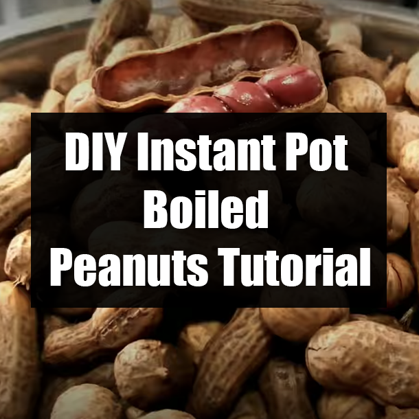 DIY Instant Pot Boiled Peanuts Tutorial