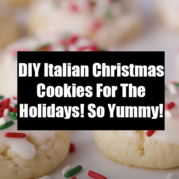 DIY Italian Christmas Cookies For The Holidays! So Yummy!