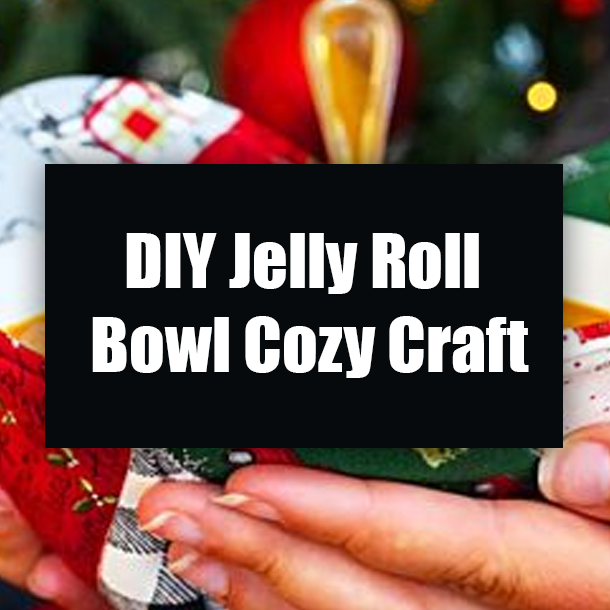 DIY Jelly Roll Bowl Cozy Craft