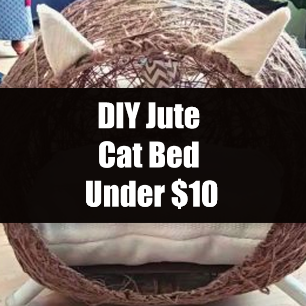 DIY Jute Cat Bed Under $10