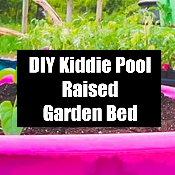 DIY Kiddie Pool Raised Garden Bed