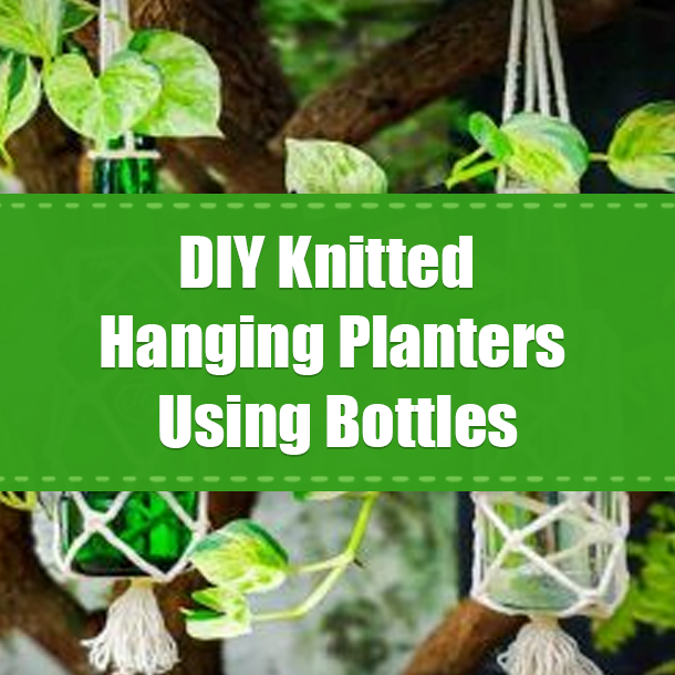 DIY Knitted Hanging Planters Using Bottles