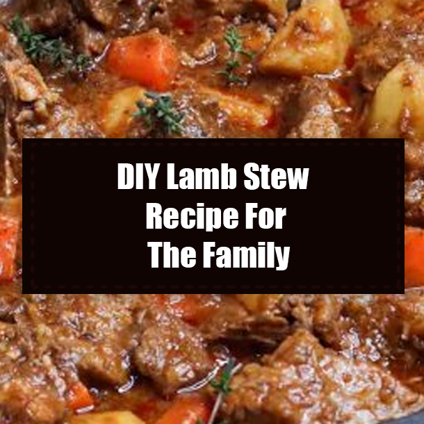 DIY Lamb Stew Recipe For The Family