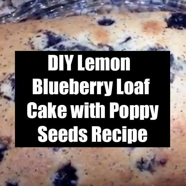 DIY Lemon Blueberry Loaf Cake with Poppy Seeds Recipe
