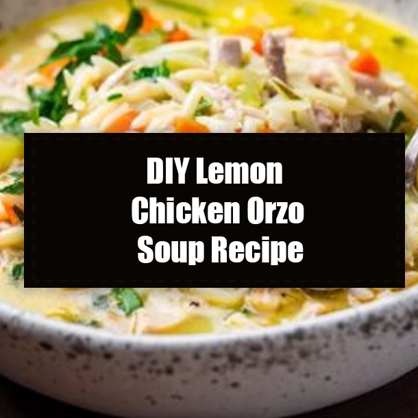 DIY Lemon Chicken Orzo Soup Recipe