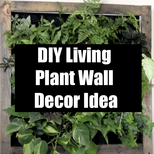 DIY Living Plant Wall Decor Idea