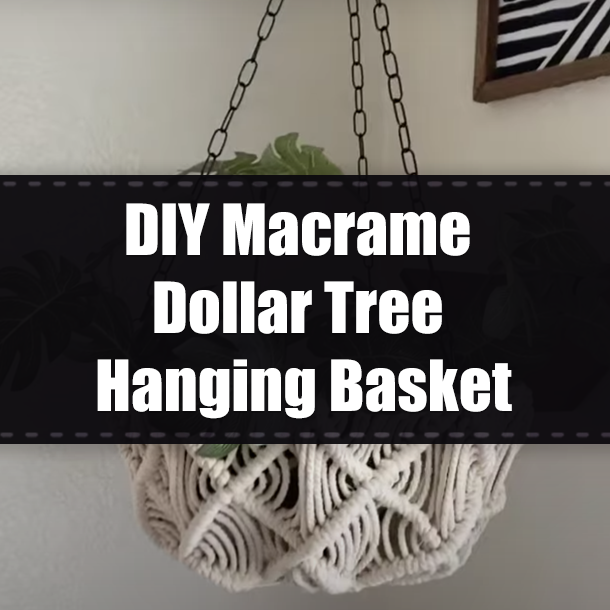 DIY Macrame Dollar Tree Hanging Basket