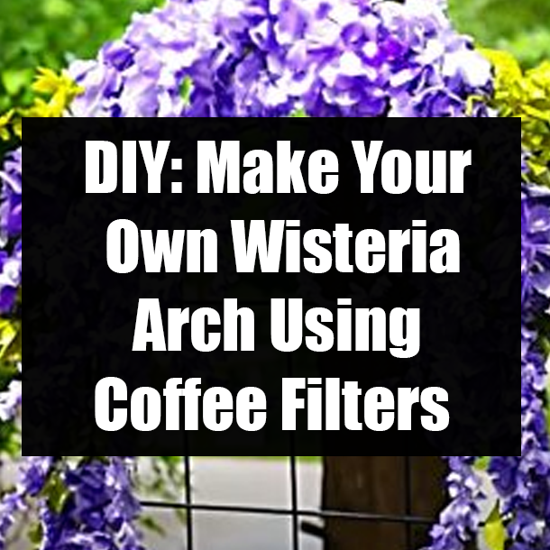 DIY: Make Your Own Wisteria Arch Using Coffee Filters