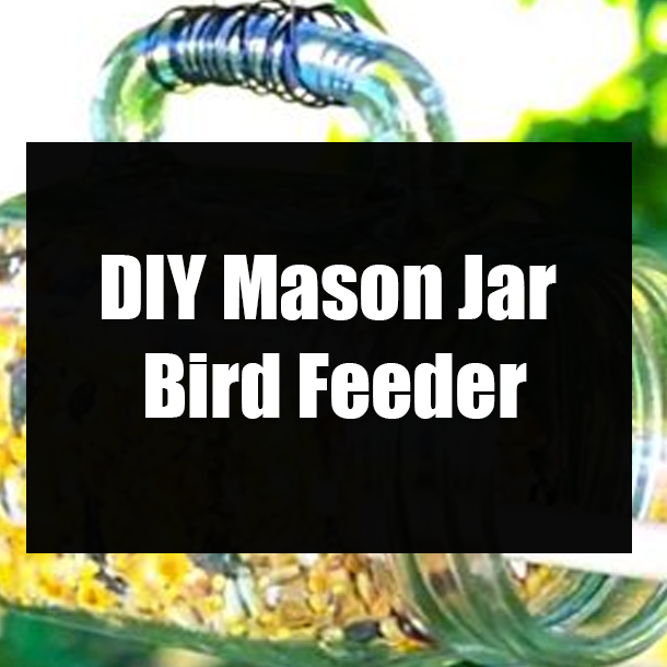 DIY Mason Jar Bird Feeder