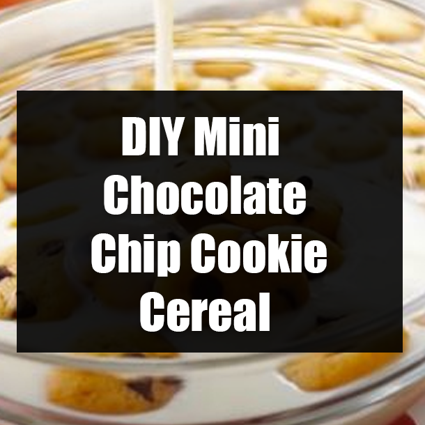 DIY Mini Chocolate Chip Cookie Cereal