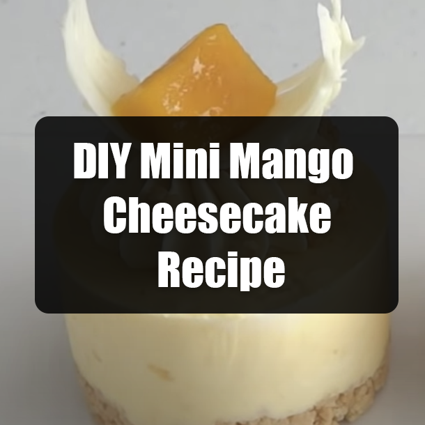 DIY Mini Mango Cheesecake Recipe