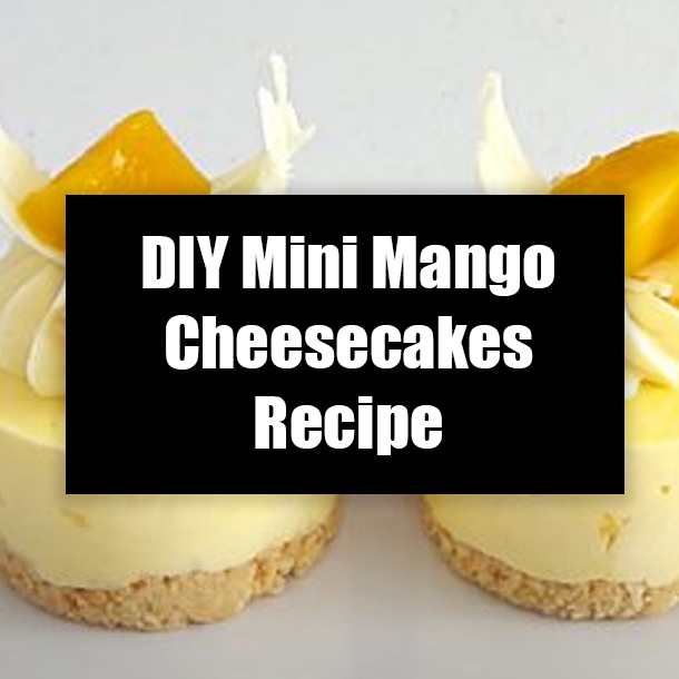 DIY Mini Mango Cheesecakes Recipe
