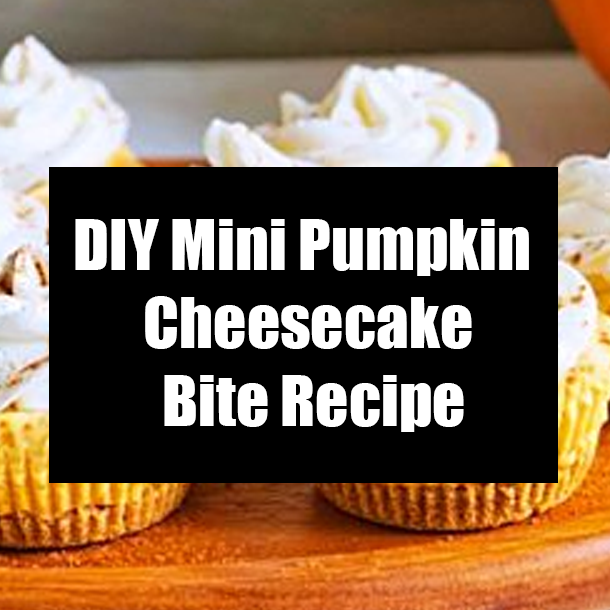 DIY Mini Pumpkin Cheesecake Bite Recipe