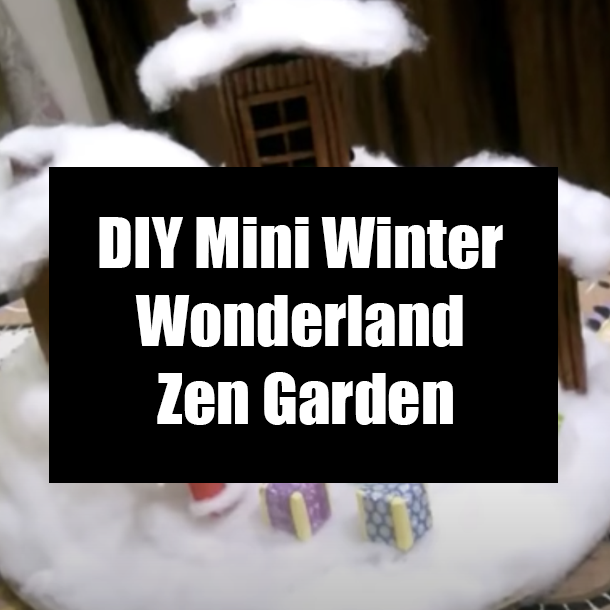 DIY Mini Winter Wonderland Zen Garden