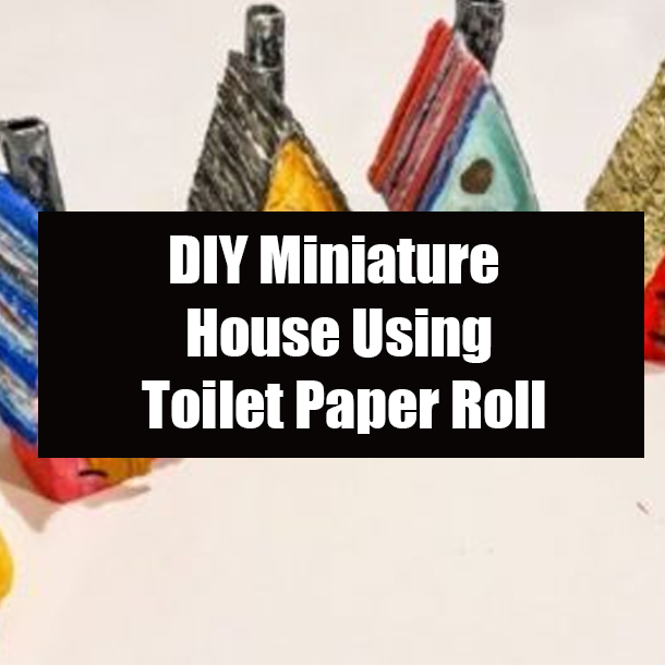 DIY Miniature House Using Toilet Paper Roll