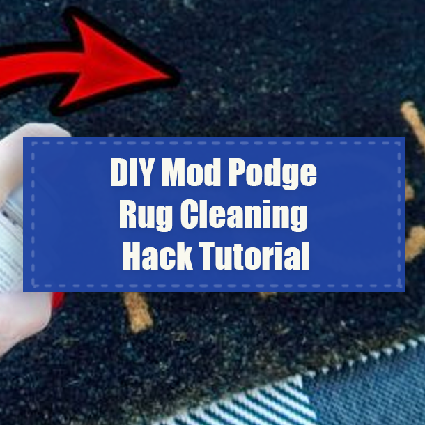 DIY Mod Podge Rug Cleaning Hack Tutorial