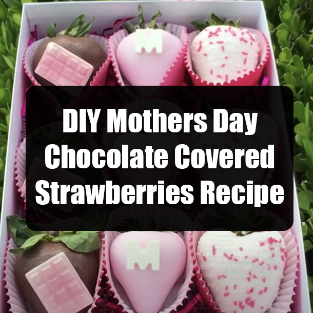 DIY Mothers Day Chocolate Covered Strawberries Recipe