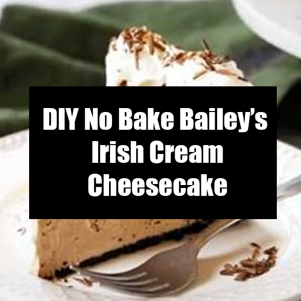 DIY No Bake Bailey’s Irish Cream Cheesecake