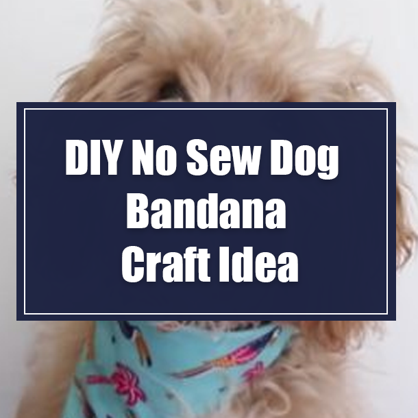DIY No Sew Dog Bandana Craft Idea