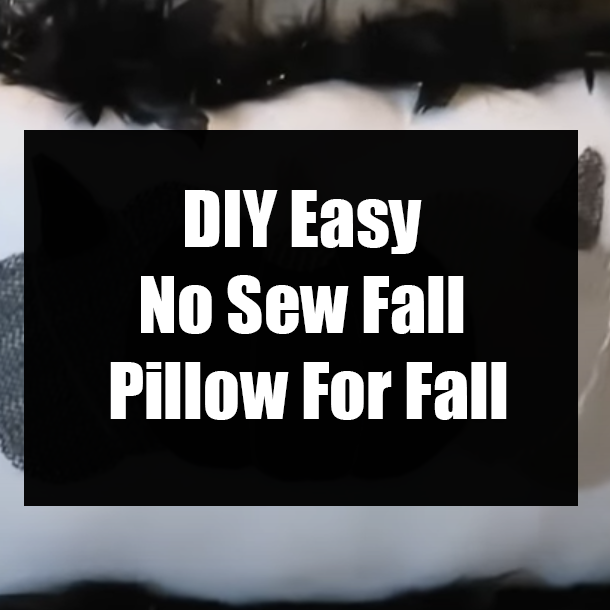 DIY No Sew Fall Pillow For Fall