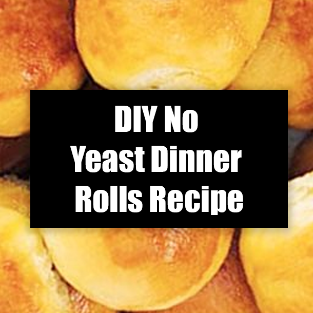 DIY No Yeast Dinner Rolls Recipe