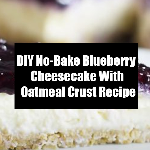 DIY No-Bake Blueberry Cheesecake With Oatmeal Crust Recipe