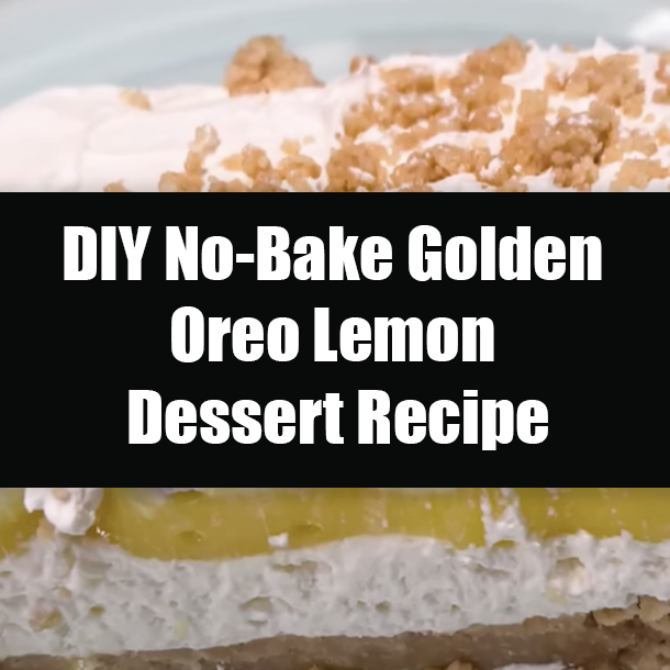 DIY No-Bake Golden Oreo Lemon Dessert Recipe