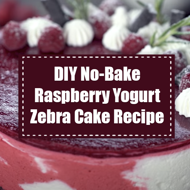 DIY No-Bake Raspberry Yogurt Zebra Cake Recipe