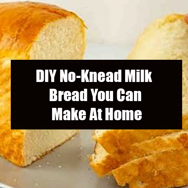 DIY No-Knead Milk Bread You Can Make At Home