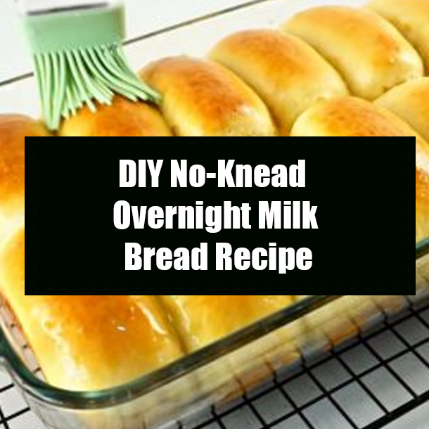 DIY No-Knead Overnight Milk Bread Recipe