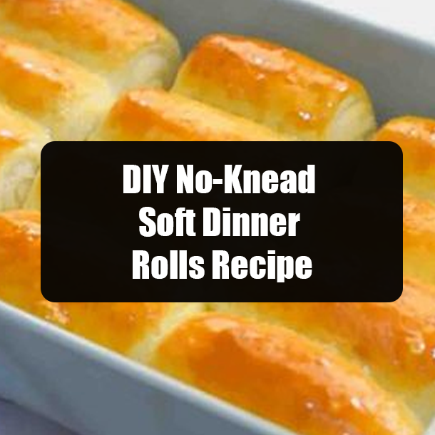 DIY No-Knead Soft Dinner Rolls Recipe