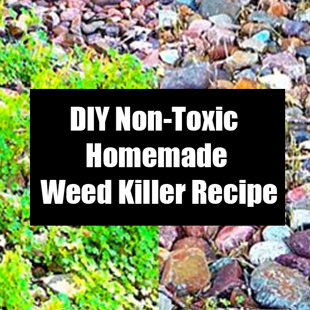 DIY Non-Toxic Homemade Weed Killer Recipe