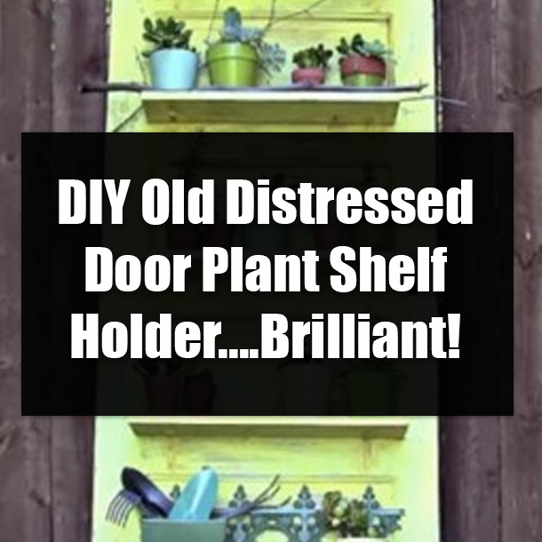DIY Old Distressed Door Plant Shelf Holder....Brilliant!