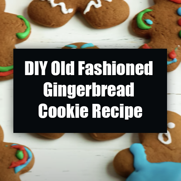 DIY Old Fashioned Gingerbread Cookie Recipe